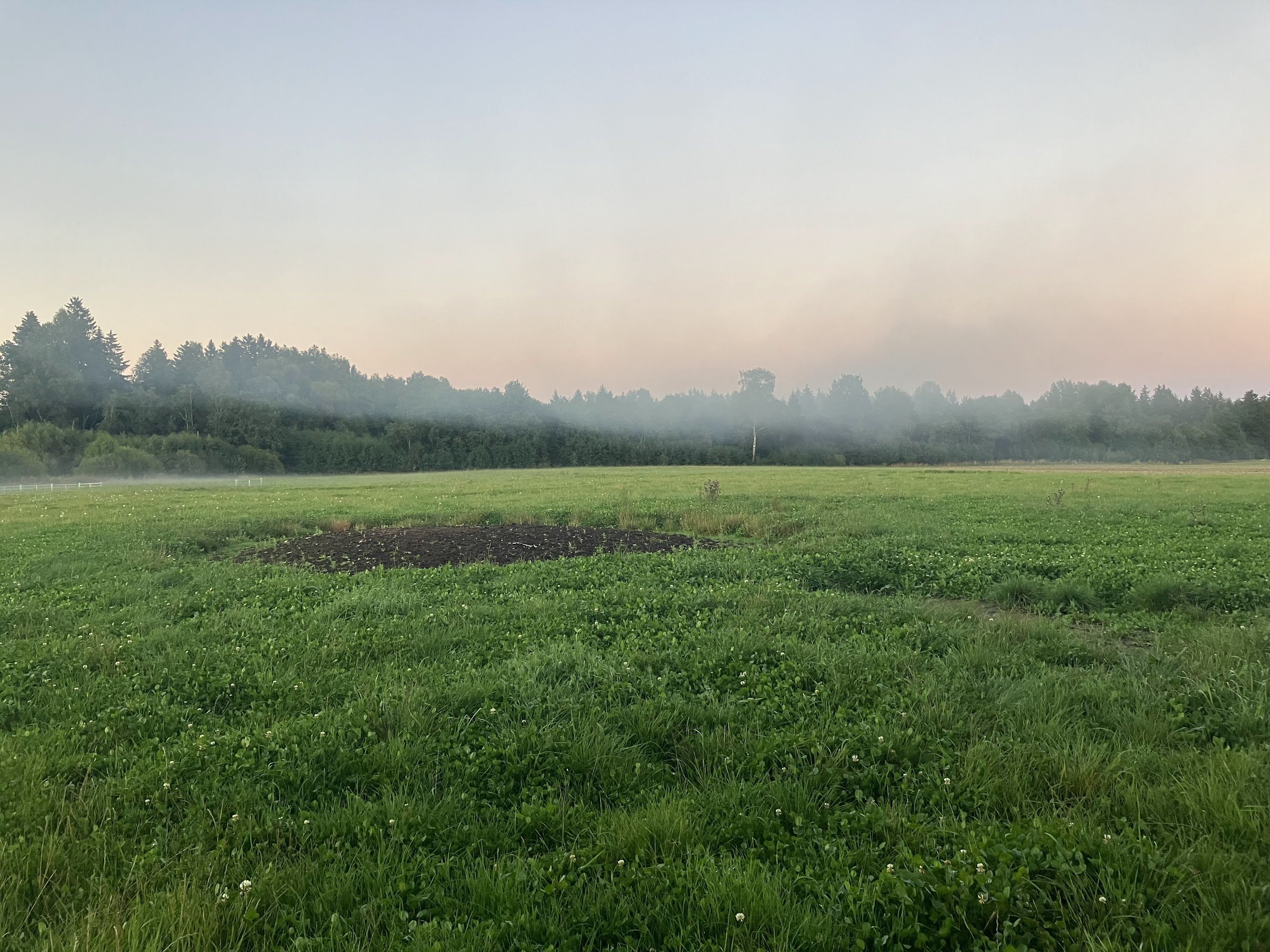 Nature pocket (Gamtos kišenėje)